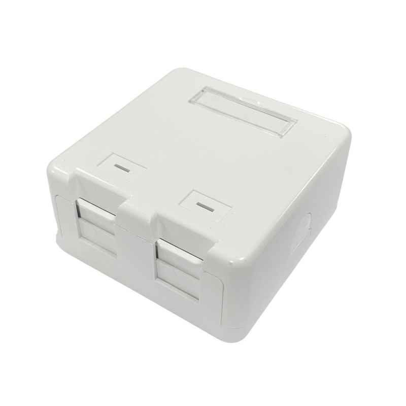 Lanview LVN127767 prise de courant 2 x RJ-45 Blanc