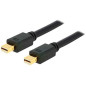 Microconnect MDPMDP2BV1.4 câble DisplayPort 2 m Mini DisplayPort Noir