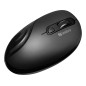 Sandberg 631-03 souris Gauche RF sans fil 1600 DPI