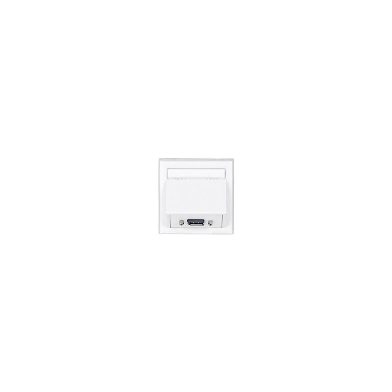 Vivolink WI221196 prise de courant DisplayPort Blanc