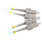 Lanview LVO231302 câble de fibre optique 2 m 2x SC OM3 Couleur aqua