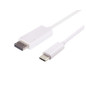 Microconnect 1.0m USB C - DP adaptateur graphique USB Blanc