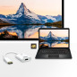 ATEN Adaptateur actif DisplayPort vers HDMI 4K