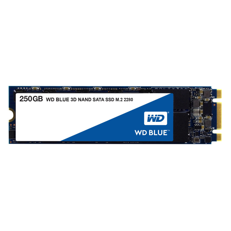 Western Digital Blue 3D M.2 250 Go