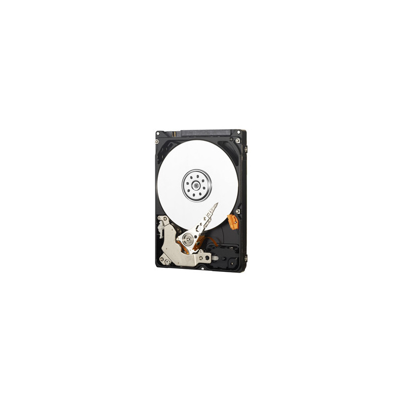 Western Digital AV-25 500GB 2.5" 500 Go SATA