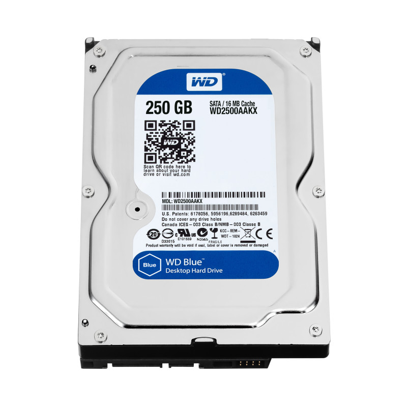 Western Digital Caviar Blue 250GB 3.5" 250 Go SATA