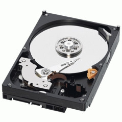 Western Digital WD7500AAKS-RFB