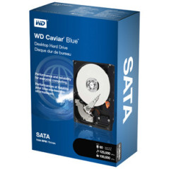 Western Digital WD6400AAKS-RFB