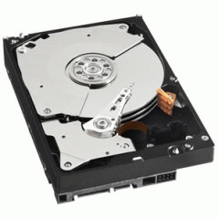 Western Digital WD2503ABYX-RFB