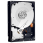 Western Digital Caviar Black 500GB 3.5" 500 Go SATA