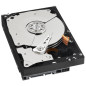 Western Digital Caviar Black 500GB 3.5" 500 Go SATA