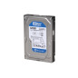 Western Digital Caviar Blue 320GB 3.5" 320 Go Parallel ATA