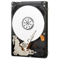 Western Digital WD3200LUCT