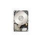 Ernitec HDD-6000GB-SAS disque dur 3.5" 6000 Go