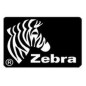 Zebra 880255-025D