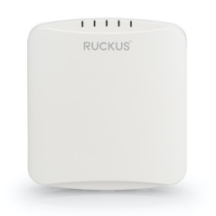 Ruckus 9U1-R350-WW02
