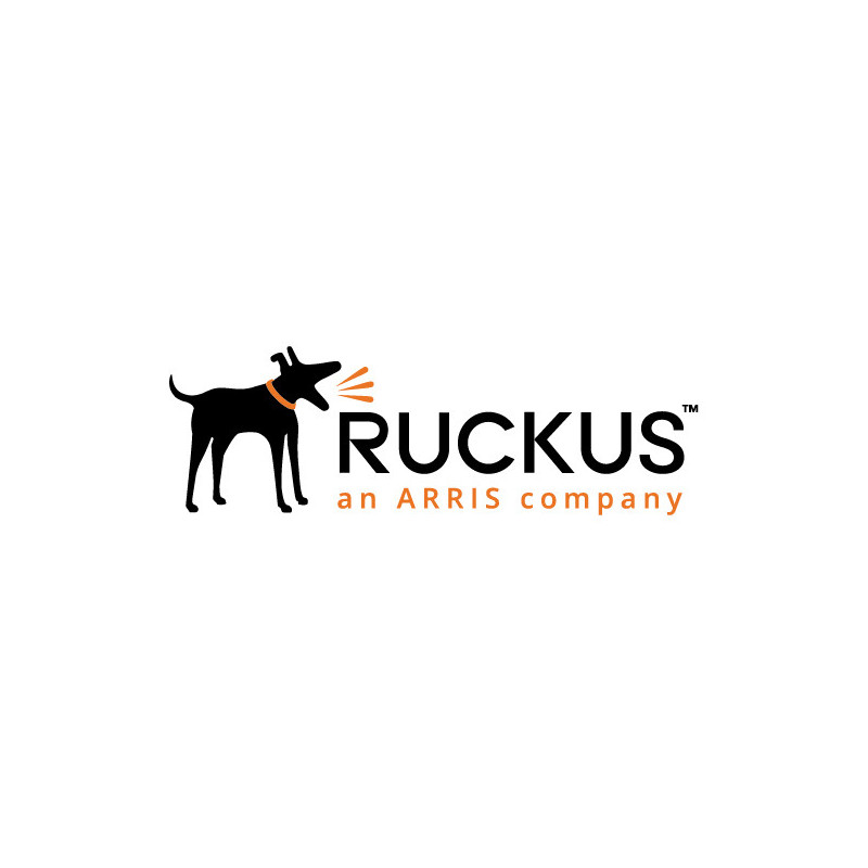 Ruckus 803-T31C-3000