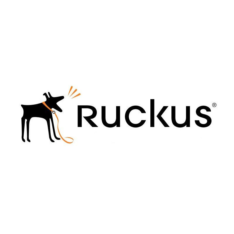 Ruckus 806-H320-5000