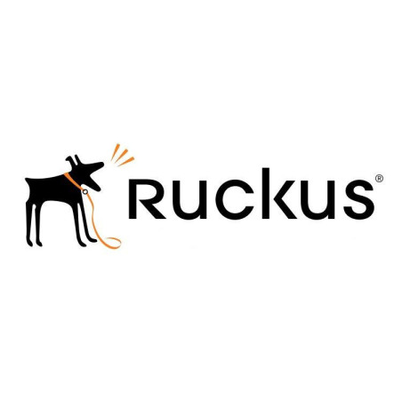 Ruckus 806-H320-5000