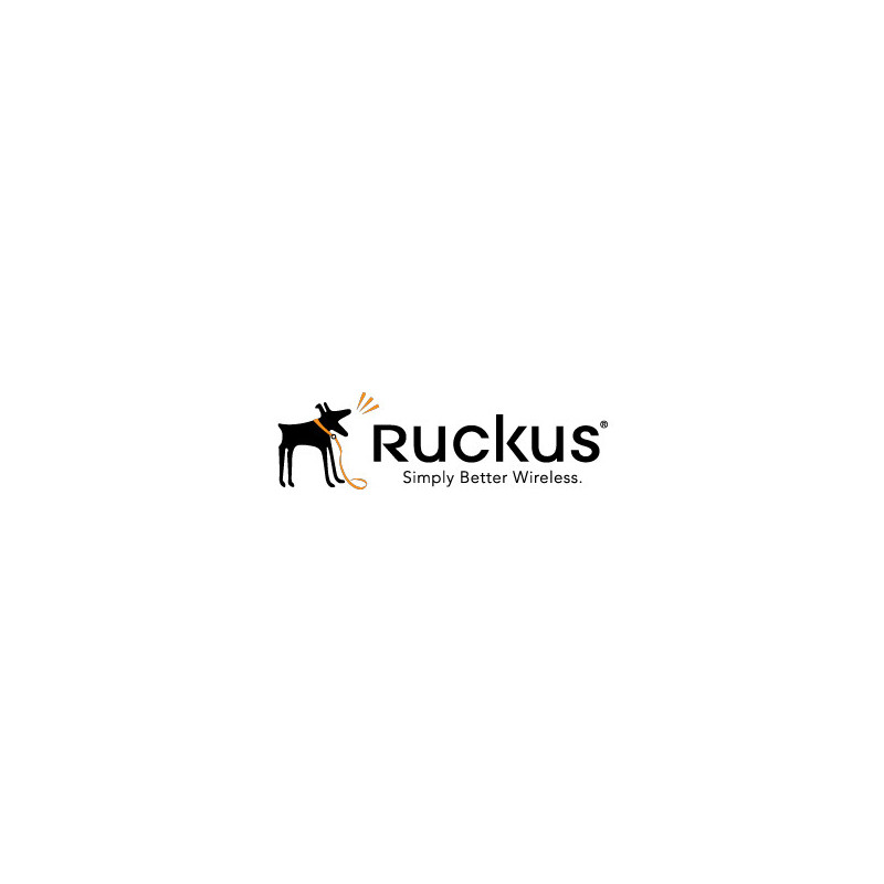 Ruckus 806-E510-1000