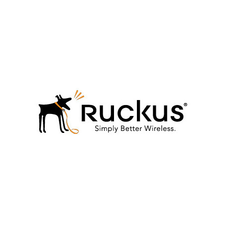 Ruckus 806-E510-1000