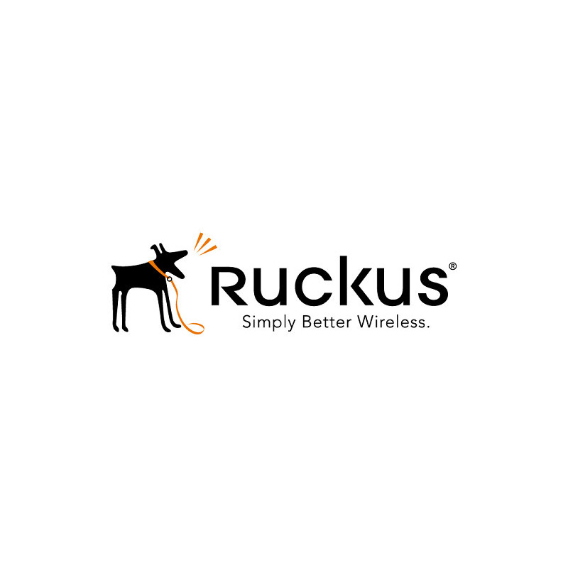 Ruckus 823-H510-3000