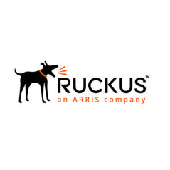 Ruckus 807-M510-3000