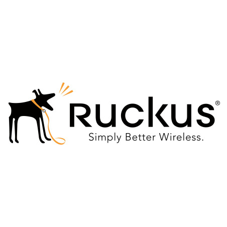 Ruckus 826-H500-1000