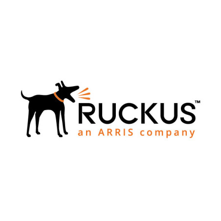 Ruckus 827-R320-1000