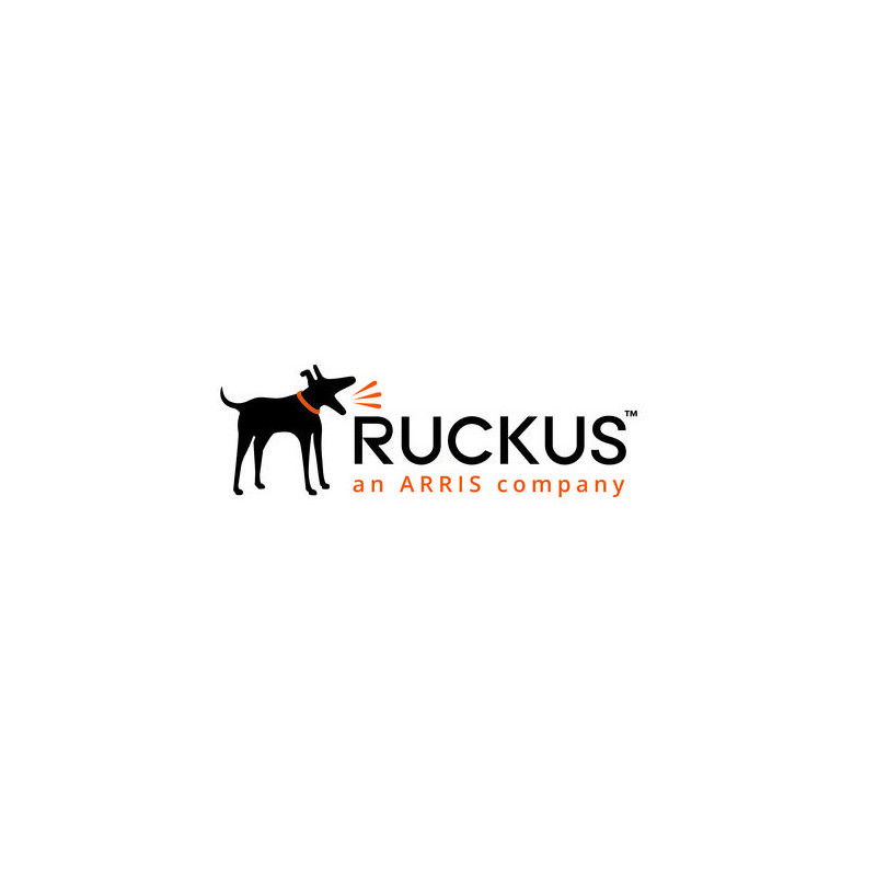 Ruckus LSR-CLP3-010K