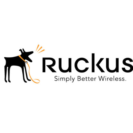 Ruckus BR-ICX-7150-210U410R-P-01