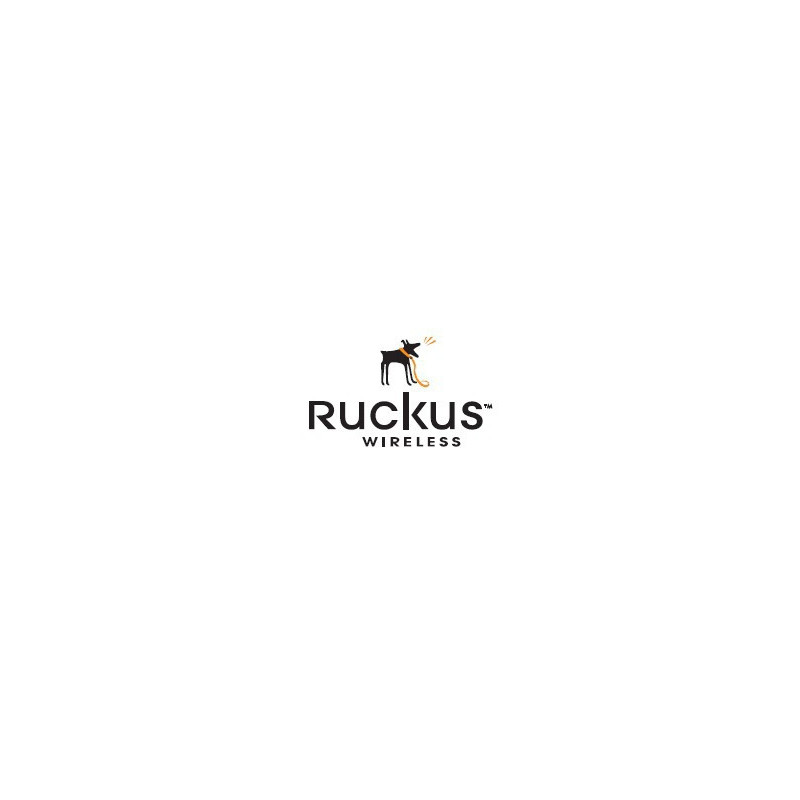 Ruckus 909-3050-ZD00