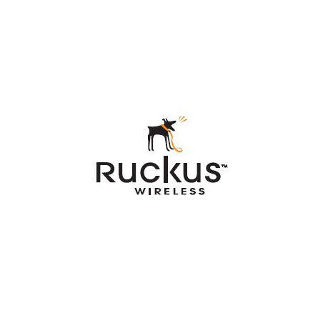 Ruckus 909-3050-ZD00