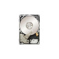 Ernitec CORE-8TB-SAS-HDD