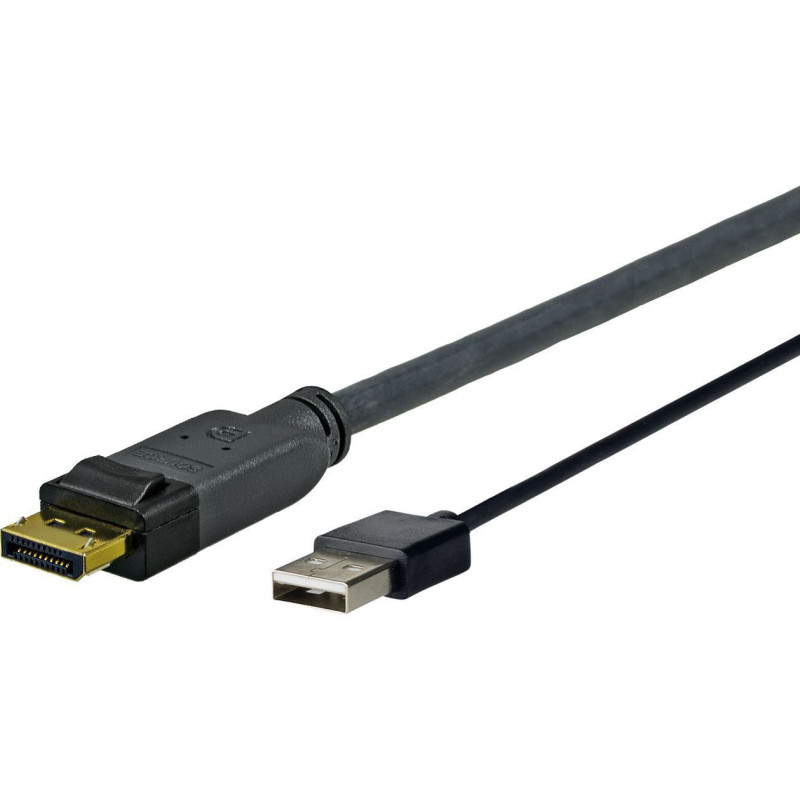 Vivolink PRODPUSB2 câble vidéo et adaptateur 2 m DisplayPort USB Type-A Noir