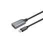 Vivolink PROUSBCHDMIMF2 changeur de genre de câble HDMI Type A (Standard) USB C Noir