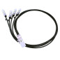 MicroOptics MO-CB-QSFP4X10G-1M câble d'InfiniBand QSFP+ 4x SFP+ Noir