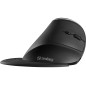 Sandberg 630-13 souris Droitier RF sans fil Optique 1600 DPI